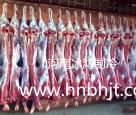肉類冷庫(kù)
