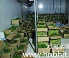 河南蔬菜保鮮庫安裝